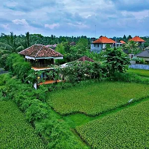 White Ubud